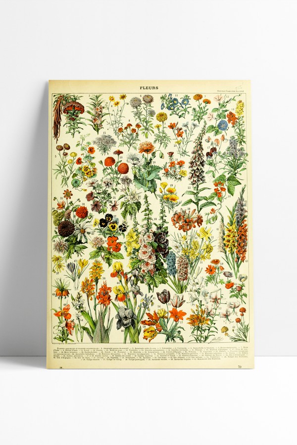 Poster Vintage Flowers