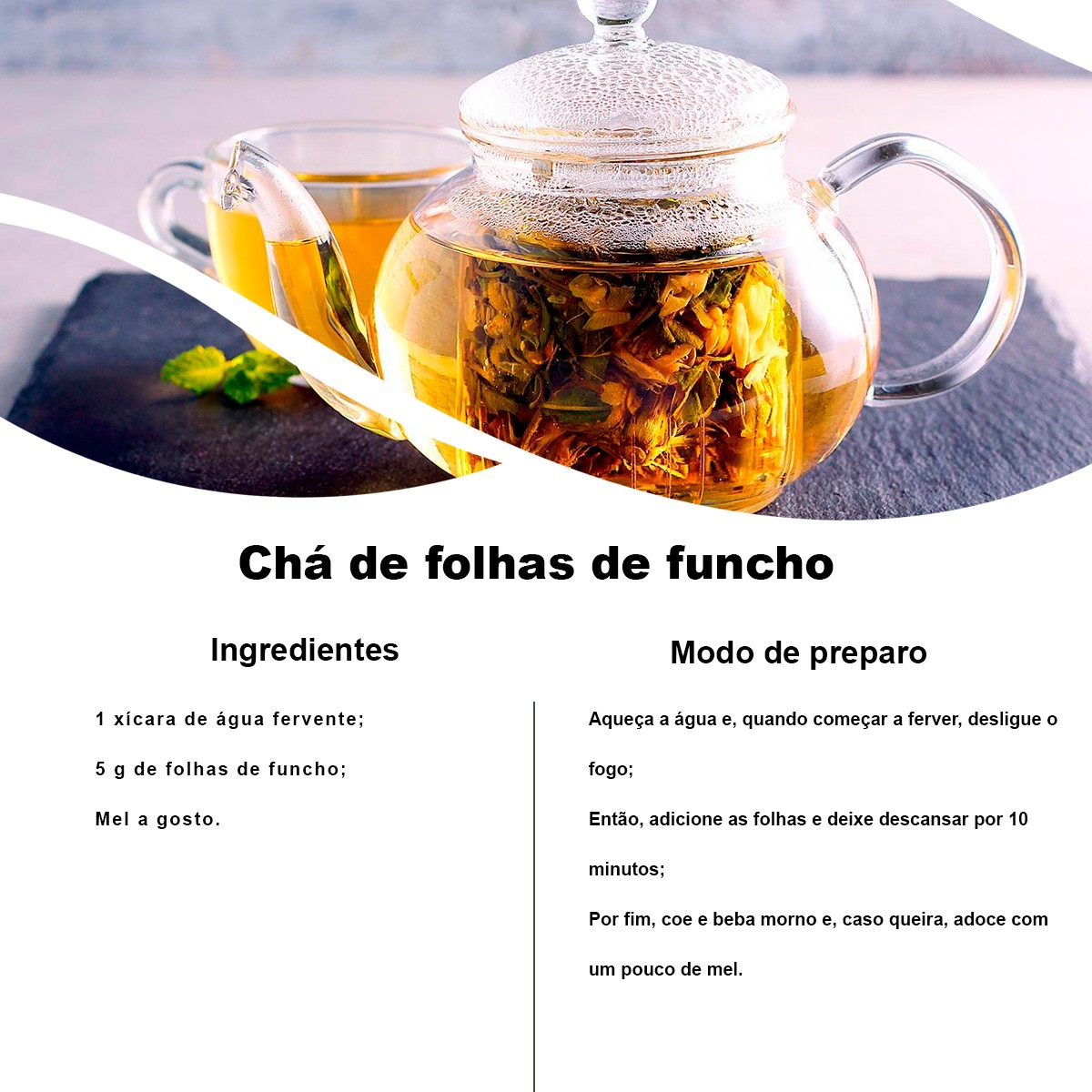 Kit 4 pct Chá de Funcho - Foeniculum Vulgare Miller - 100g